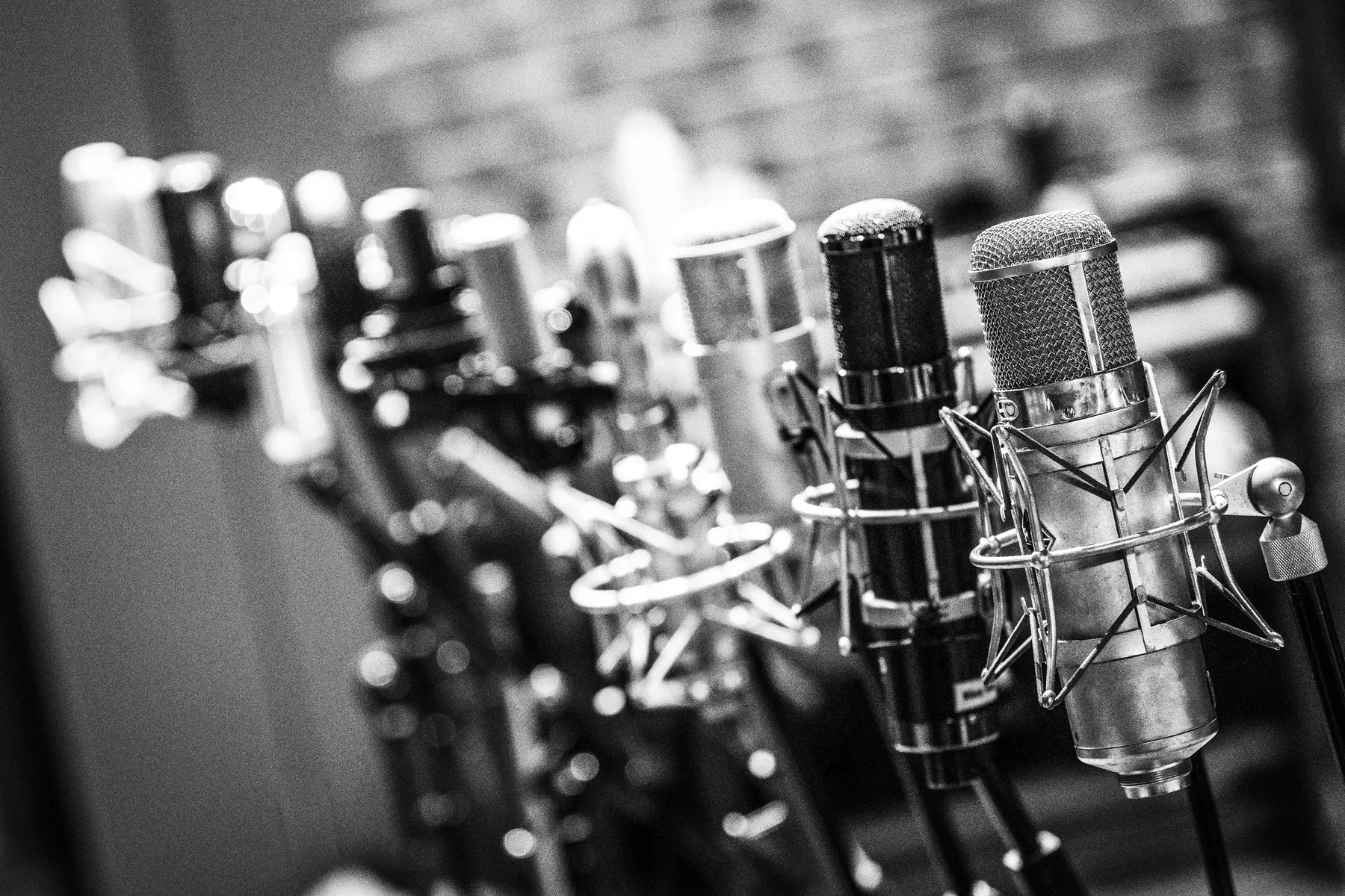 From front to back: Flea 47, Soundeluxe U95, Neumann 47 Fet, Neumann-Gefell CMV 563, Austrian Audio OC818, AKG C414, Coles 4038, Soyuz Bomblet, Sony C800G, Neumann M150, Neumann U87
