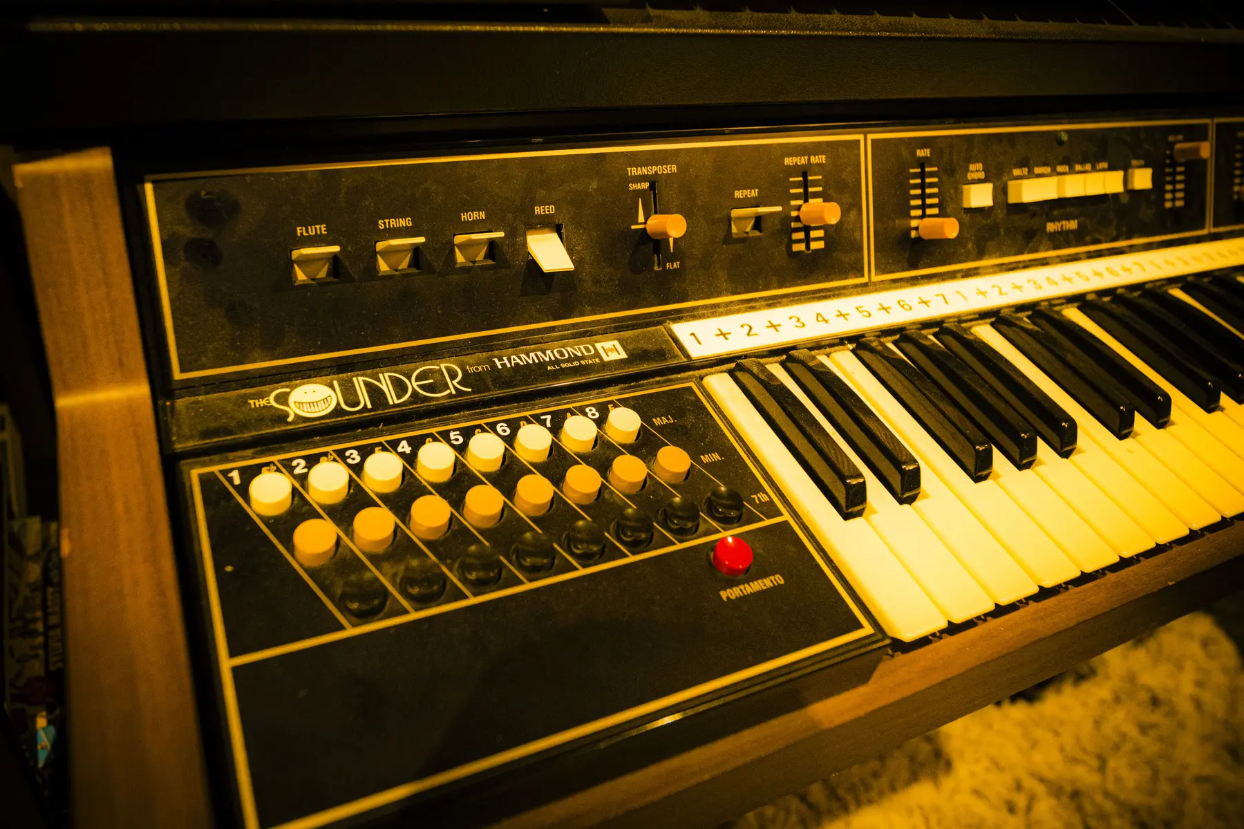 Hammond The Sounder